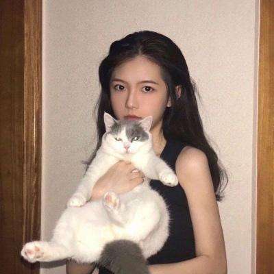 九世轮回官方正版下载